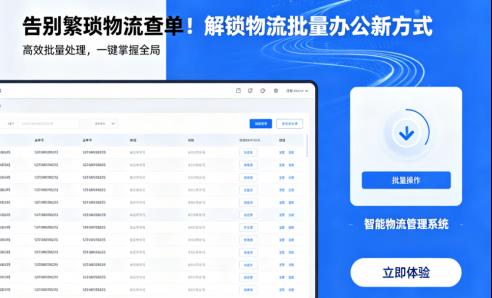 救命！终于有人把物流批量查单说清楚了！